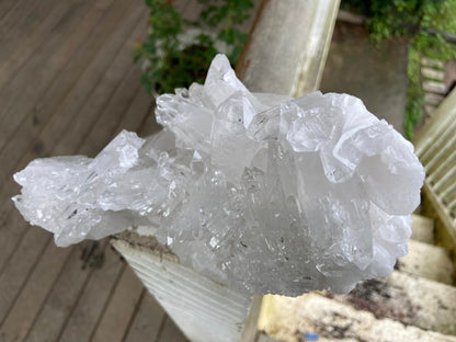 Lemurian Seed Quartz Cluster AAA+++ "Dove"