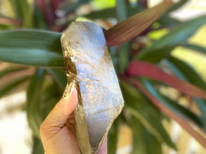 Left Time Link Elestial Smokey Citrine Quartz Lemurian Seed With Pleiadian Starbrary and Diamond Window