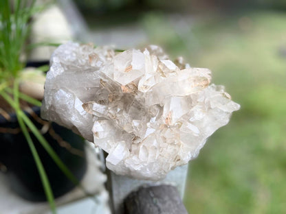 Golden Healer Lemurian Seed Cluster AAA+ Grade