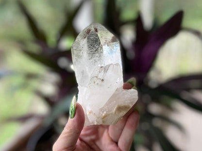 Lemurian Seed Ascending Cathedral Channeler A+ Grade