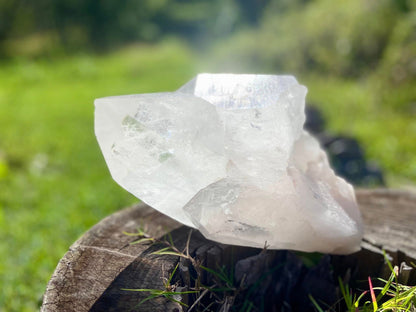 Gigantic Cathedral Lemurian Seed Quartz Record Keeper and Energetic Library A Grade