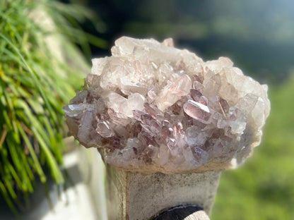 Sacred Rose Pink Lithium Lemurian Seed Colombian Quartz Cluster