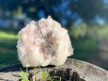 Sacred Rose Pink Lithium Lemurian Seed Colombian Quartz Cluster
