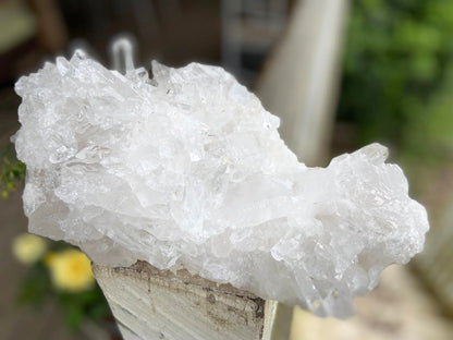 Lemurian Seed Quartz Cluster A+ Grade