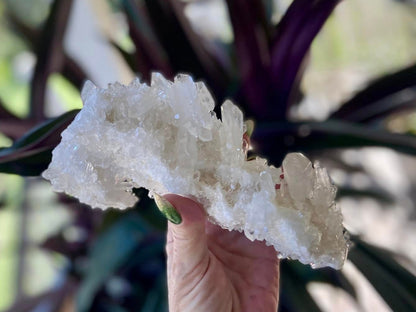 Lemurian Seed Mini Point Cluster AAA+ Grade