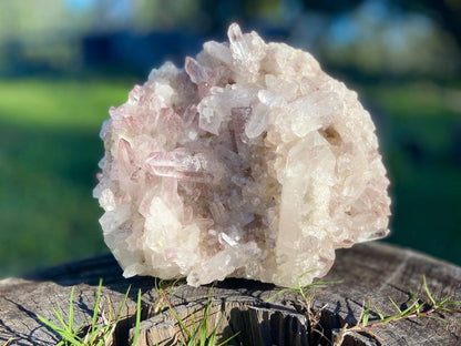 Sacred Rose Pink Lithium Lemurian Seed Colombian Quartz Cluster