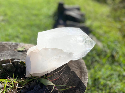 Gigantic Cathedral Lemurian Seed Quartz Record Keeper and Energetic Library A Grade