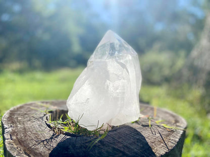 Gigantic Cathedral Lemurian Seed Quartz Record Keeper and Energetic Library A Grade