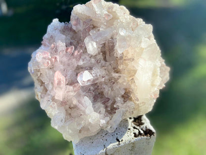 Sacred Rose Pink Lithium Lemurian Seed Colombian Quartz Cluster