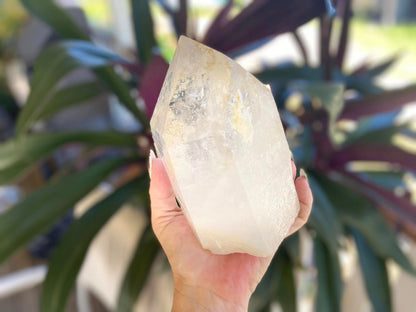 Golden Healer Pleiadian Starbary Master Record Keeper Natural Point