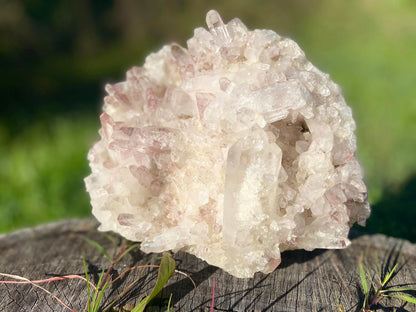 Sacred Rose Pink Lithium Lemurian Seed Colombian Quartz Cluster