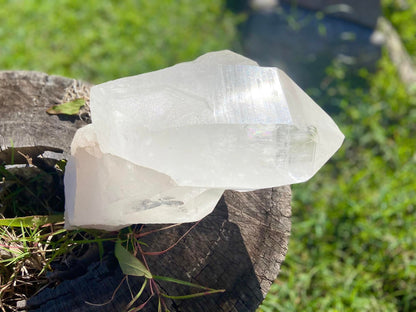 Gigantic Cathedral Lemurian Seed Quartz Record Keeper and Energetic Library A Grade