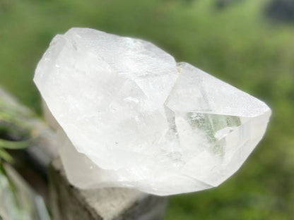 Gigantic Cathedral Lemurian Seed Quartz Record Keeper and Energetic Library A Grade