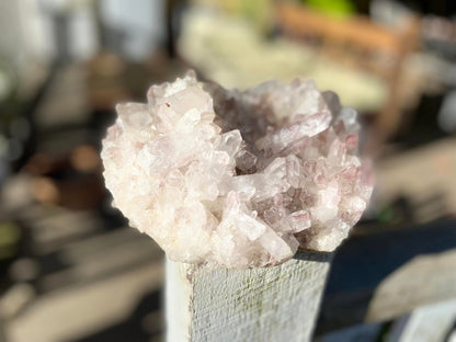 Sacred Rose Pink Lithium Lemurian Seed Colombian Quartz Cluster
