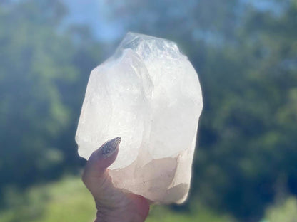 Gigantic Cathedral Lemurian Seed Quartz Record Keeper and Energetic Library A Grade