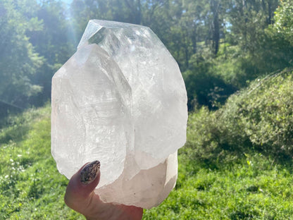 Gigantic Cathedral Lemurian Seed Quartz Record Keeper and Energetic Library A Grade
