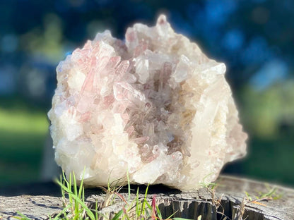 Sacred Rose Pink Lithium Lemurian Seed Colombian Quartz Cluster