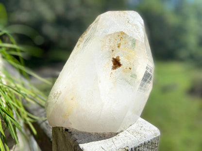 Golden Healer Pleiadian Starbary Master Record Keeper Natural Point