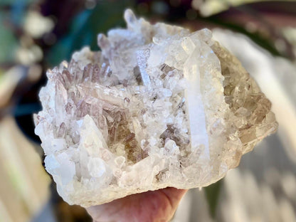 Sacred Rose Pink Lithium Lemurian Seed Colombian Quartz Cluster