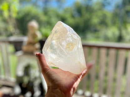 Golden Healer Pleiadian Starbary Master Record Keeper Natural Point