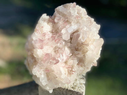 Sacred Rose Pink Lithium Lemurian Seed Colombian Quartz Cluster