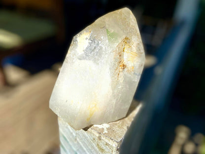 Golden Healer Pleiadian Starbary Master Record Keeper Natural Point