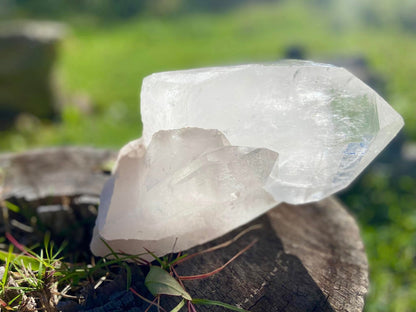 Gigantic Cathedral Lemurian Seed Quartz Record Keeper and Energetic Library A Grade