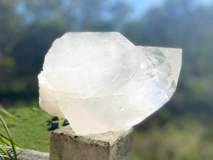Gigantic Cathedral Lemurian Seed Quartz Record Keeper and Energetic Library A Grade