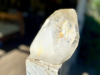 Golden Healer Pleiadian Starbary Master Record Keeper Natural Point
