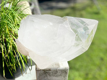 Gigantic Cathedral Lemurian Seed Quartz Record Keeper and Energetic Library A Grade