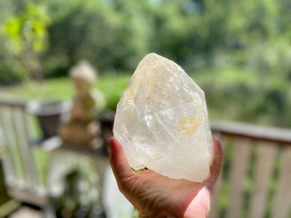 Golden Healer Pleiadian Starbary Master Record Keeper Natural Point