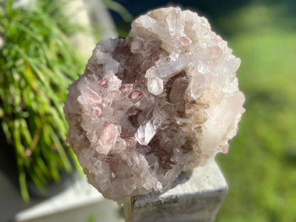 Sacred Rose Pink Lithium Lemurian Seed Colombian Quartz Cluster