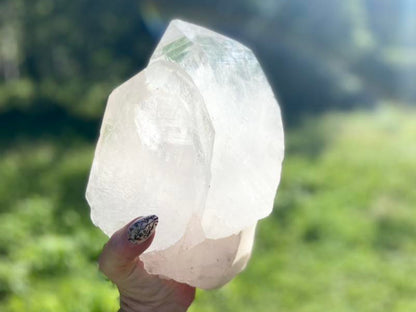 Gigantic Cathedral Lemurian Seed Quartz Record Keeper and Energetic Library A Grade