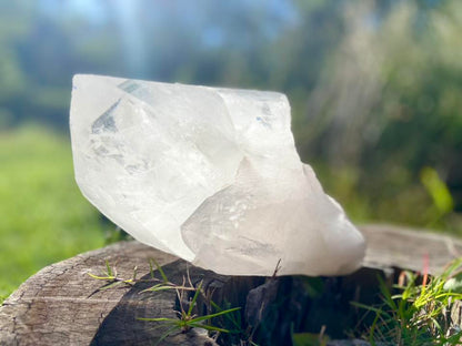 Gigantic Cathedral Lemurian Seed Quartz Record Keeper and Energetic Library A Grade