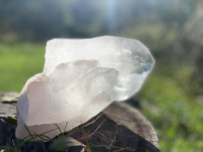 Gigantic Cathedral Lemurian Seed Quartz Record Keeper and Energetic Library A Grade