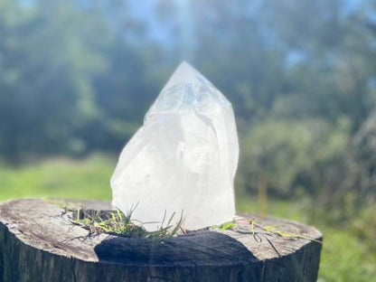Gigantic Cathedral Lemurian Seed Quartz Record Keeper and Energetic Library A Grade