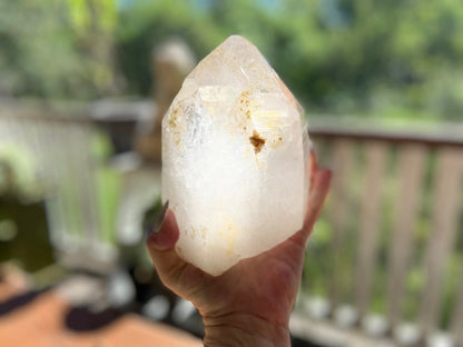 Golden Healer Pleiadian Starbary Master Record Keeper Natural Point