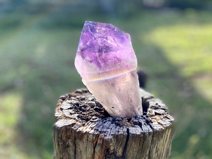 Dragon Tooth Amethyst and Ametrine Quartz Phantom Natural Point