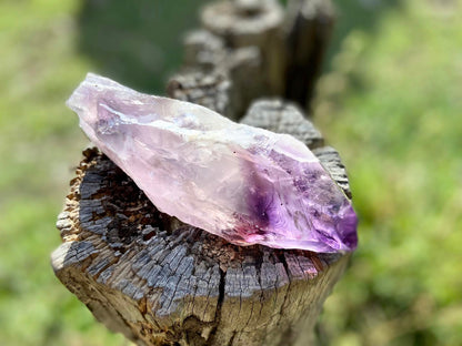 Dragon Tooth Amethyst and Ametrine Quartz Phantom Natural Point