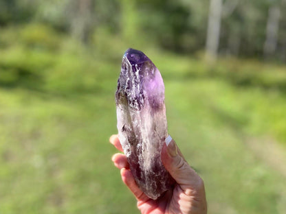 Dragon Tooth Amethyst and Ametrine Quartz Phantom Natural Point