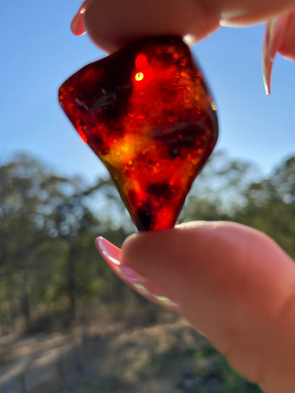 Rare Red Fire Baltic Amber with Ancient Organic Inclusions: Collector's Gem