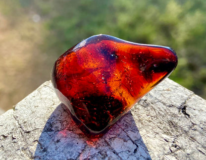 Rare Red Fire Baltic Amber with Ancient Organic Inclusions: Collector's Gem