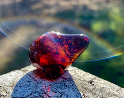 Rare Red Fire Baltic Amber with Ancient Organic Inclusions: Collector's Gem