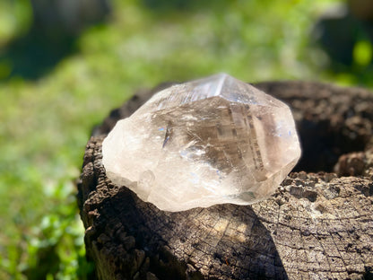 Smokey Citrine Pleiadian Starbray | Lemurian Seed Quartz Point | Smoky Citrine | Manifestation & Inner Child Crystal | Brazil – 358g