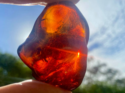 Rare Red Fire Baltic Amber with Ancient Organic Inclusions: Collector's Gem