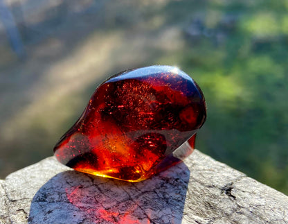 Rare Red Fire Baltic Amber with Ancient Organic Inclusions: Collector's Gem