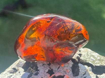 Rare Red Fire Baltic Amber with Ancient Organic Inclusions: Collector's Gem