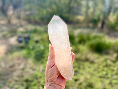 IsIs Pleiadian Starbrary Double Terminated Elite Lemurian Seed Quartz With A Touch Of Tangerine Quartz 759 Grams