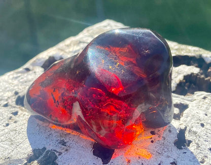 Rare Red Fire Baltic Amber with Ancient Organic Inclusions: Collector's Gem