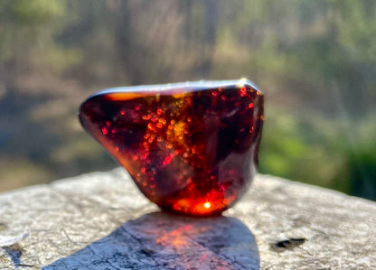Rare Red Fire Baltic Amber with Ancient Organic Inclusions: Collector's Gem